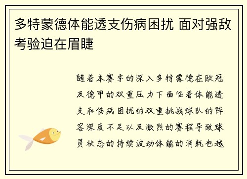 多特蒙德体能透支伤病困扰 面对强敌考验迫在眉睫