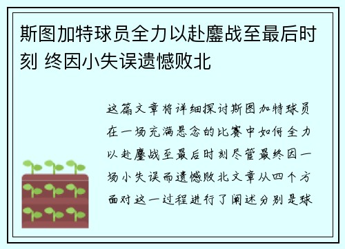 斯图加特球员全力以赴鏖战至最后时刻 终因小失误遗憾败北